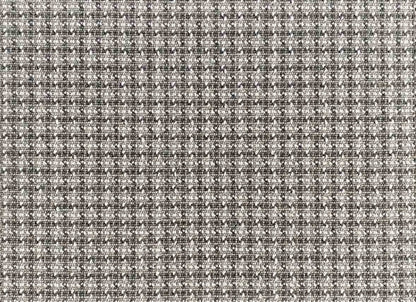 Wild n Wooly - Chalen