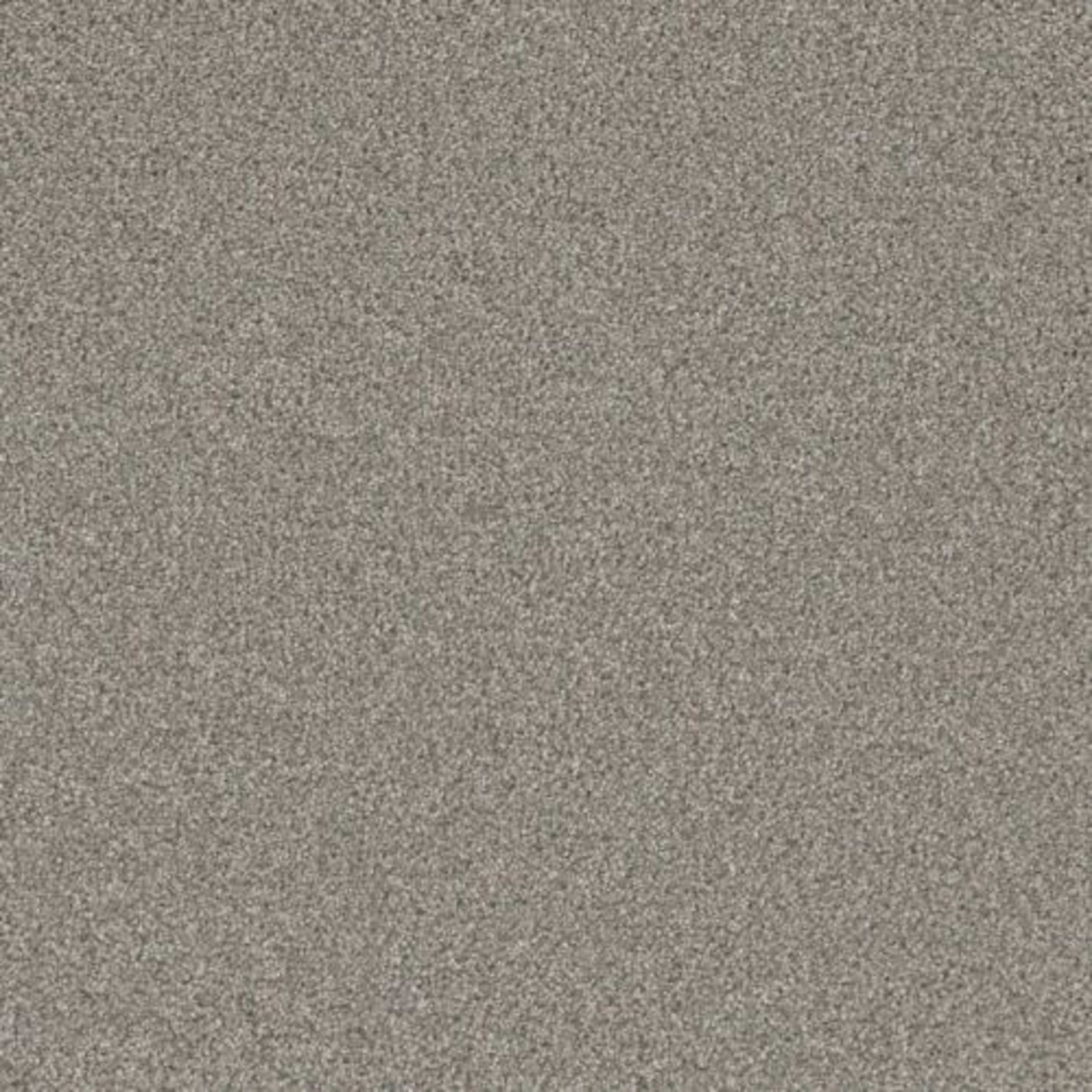 ROYALE I in Winterscape Carpet