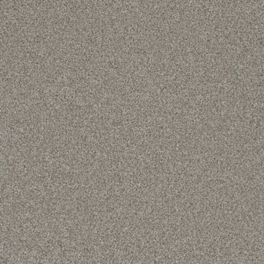 ROYALE I in Winterscape Carpet
