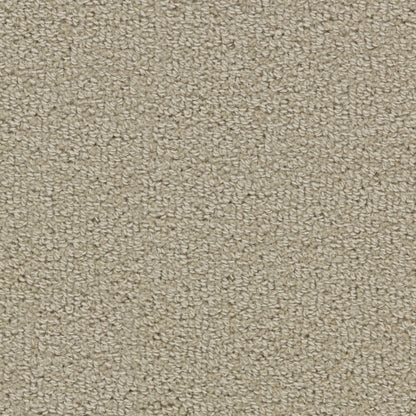 Wool Tip Shear Ii