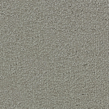 Wool Tip Shear Ii