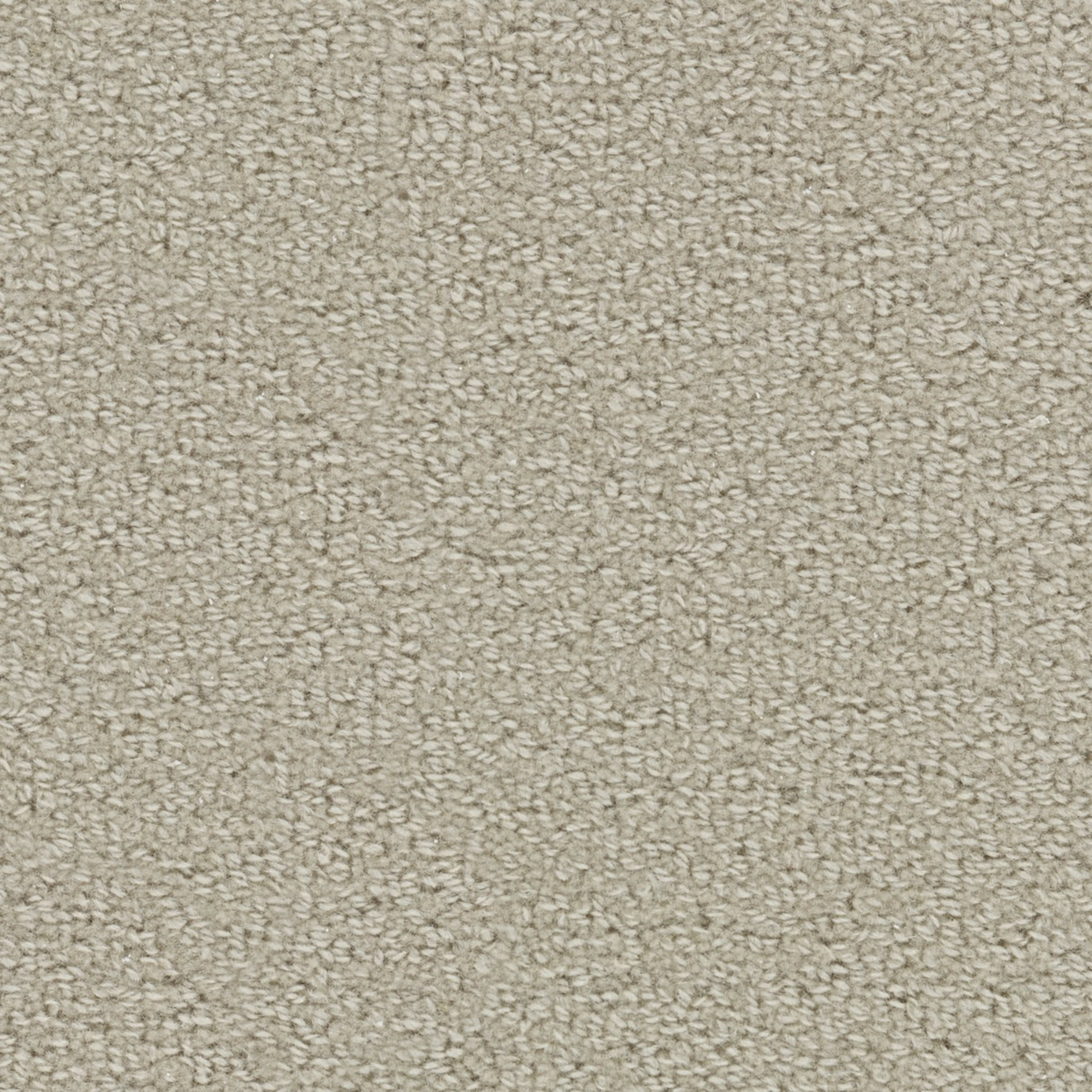 Wool Tip Shear Ii in Muslin Carpet