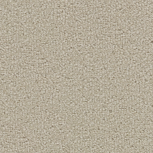 Wool Tip Shear Ii in Muslin Carpet