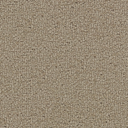 Wool Tip Shear Ii