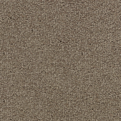 Wool Tip Shear Ii