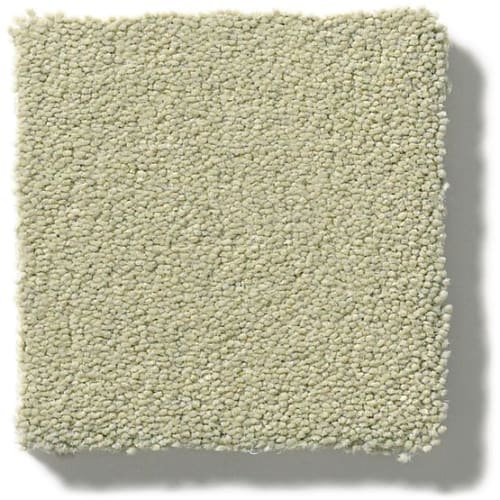 Perfect Choice