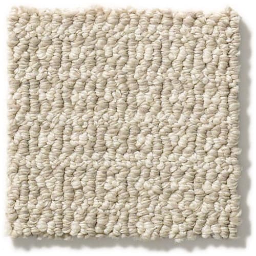 Fetch Flooring by Anderson Tuftex