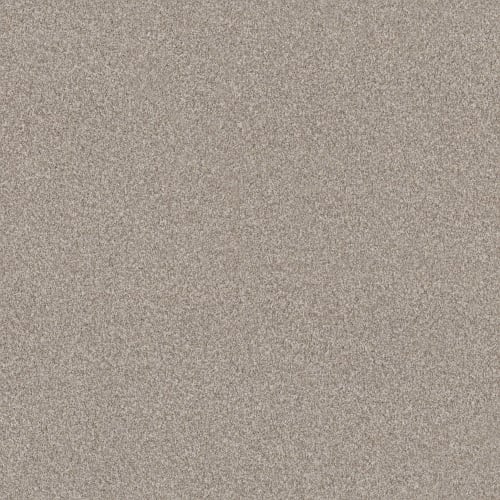 TERRA NOVA in Spun Cotton Carpet