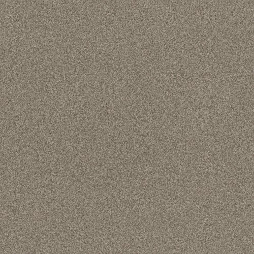 Terra Nova