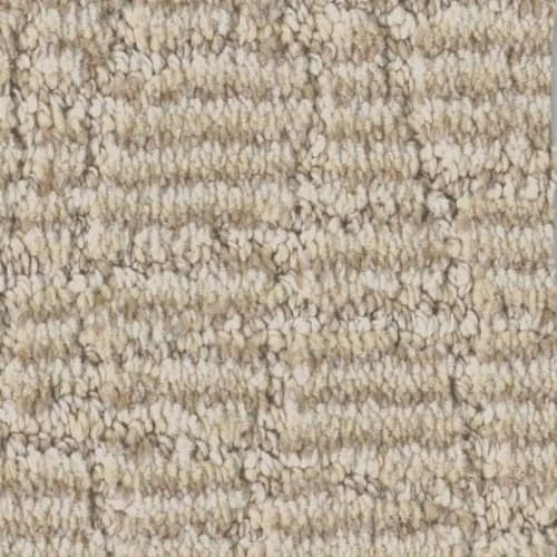 Chit Chat Flooring by Anderson Tuftex
