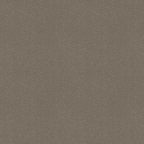 DEL VISTA in Riverbank Carpet