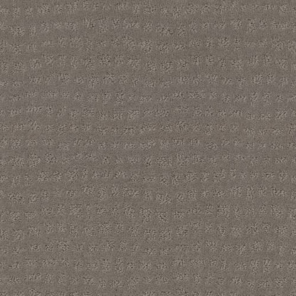 SOLSTICE in Still Gray Carpet