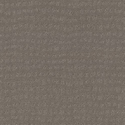 SOLSTICE in Still Gray Carpet