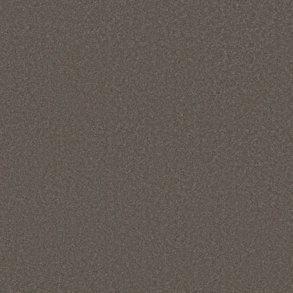 ENDURING CHARM in Highrise Carpet