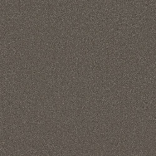 ENDURING CHARM in Highrise Carpet