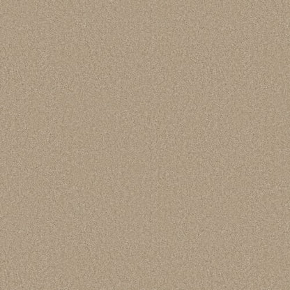 ELEGANT BEAUTY in Buff Carpet