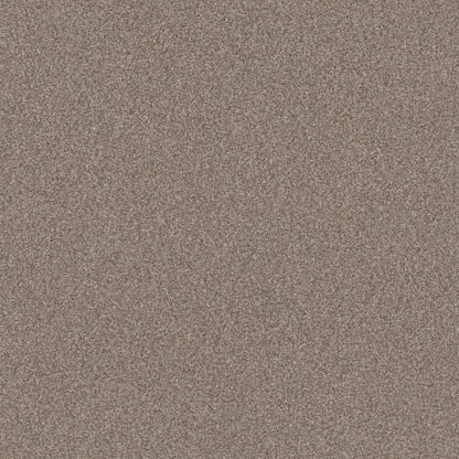 BOSSA NOVA in Pashmina Carpet