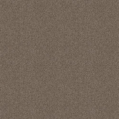 Bossa Nova