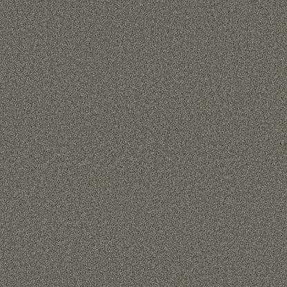 FABULOUS in Asphalt Carpet