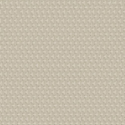 Havencrest in Birchbark Carpet