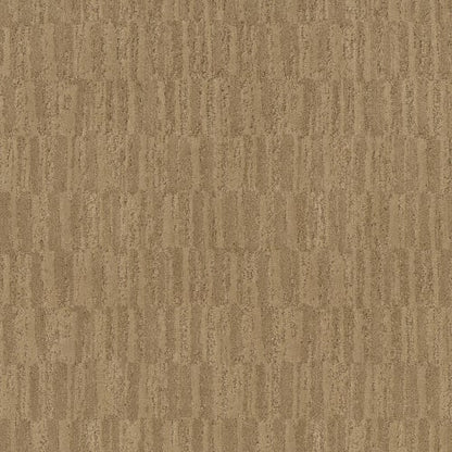 TRACE