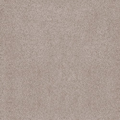 SUMPTUOUS I in Granite Dust Carpet