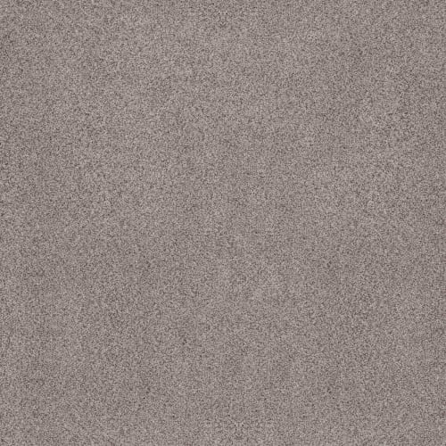 SUMPTUOUS II in Rustic Gray Carpet