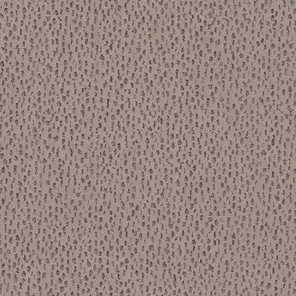 AMBITIOUS in Mocha Carpet