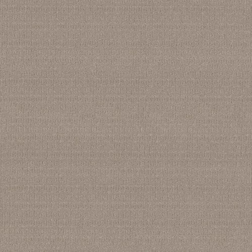 VIGNETTE in Greige Carpet