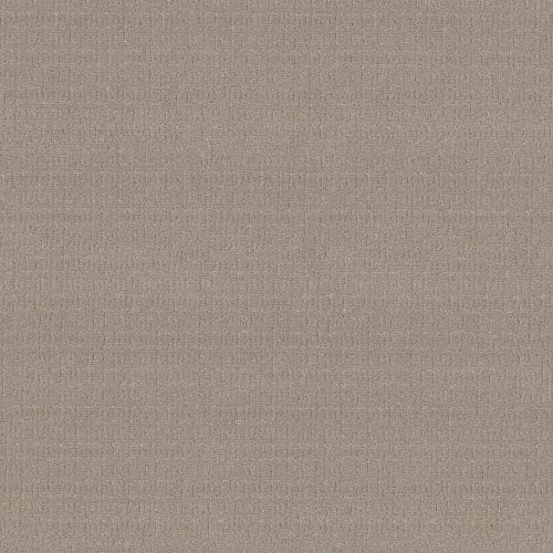 VIGNETTE in Greige Carpet