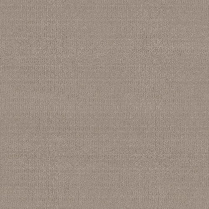 VIGNETTE in Greige Carpet