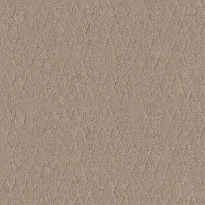 ILLUMINATION in Silhouette Carpet