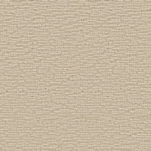 Curator in Guardian Carpet