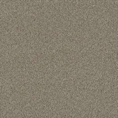 NO LIMITS II Flooring by Engineered Floors - Dream Weaver