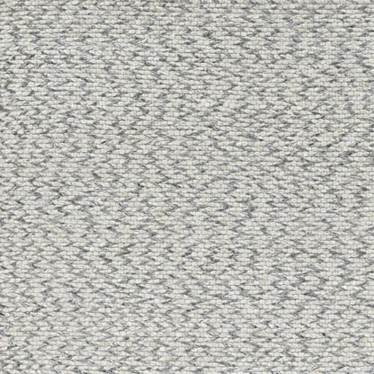 Bellissima - 2 - Pewter in Pewter Area Rugs