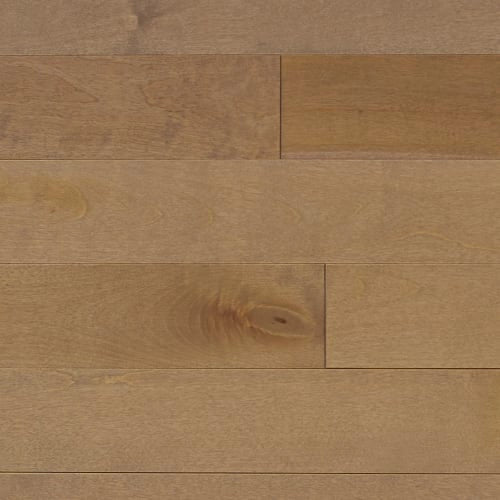 Signature Solid Birch Excel 3/4" in Biscotti 2.25" Hardwood