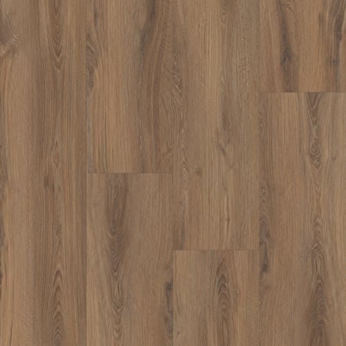 Prime XL 12 Collection