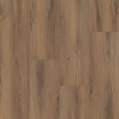 Prime XL 12 Collection