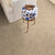 ARTISTIC PRESENCE in Natural Beauty Carpet