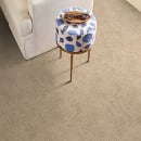 ARTISTIC PRESENCE in Natural Beauty Carpet
