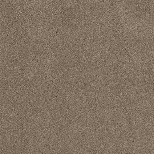 COZY HARBOR II in Tumbleweed Carpet