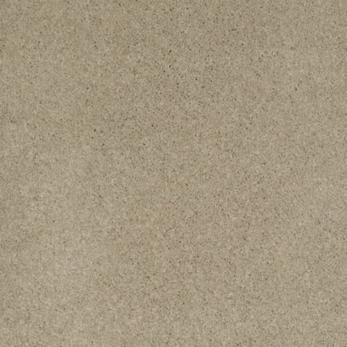 Cashmere I in Panama Carpet