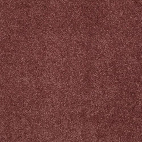 CASHMERE CLASSIC III in Cranberry Carpet