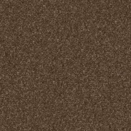 CASHMERE CLASSIC IV in Bison Carpet