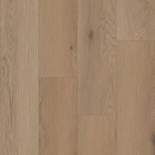 Prime XL 7 Collection