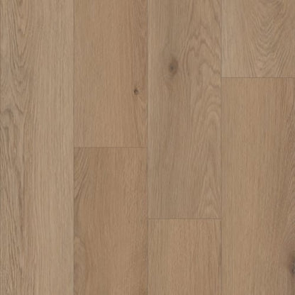 Prime XL 7 Collection