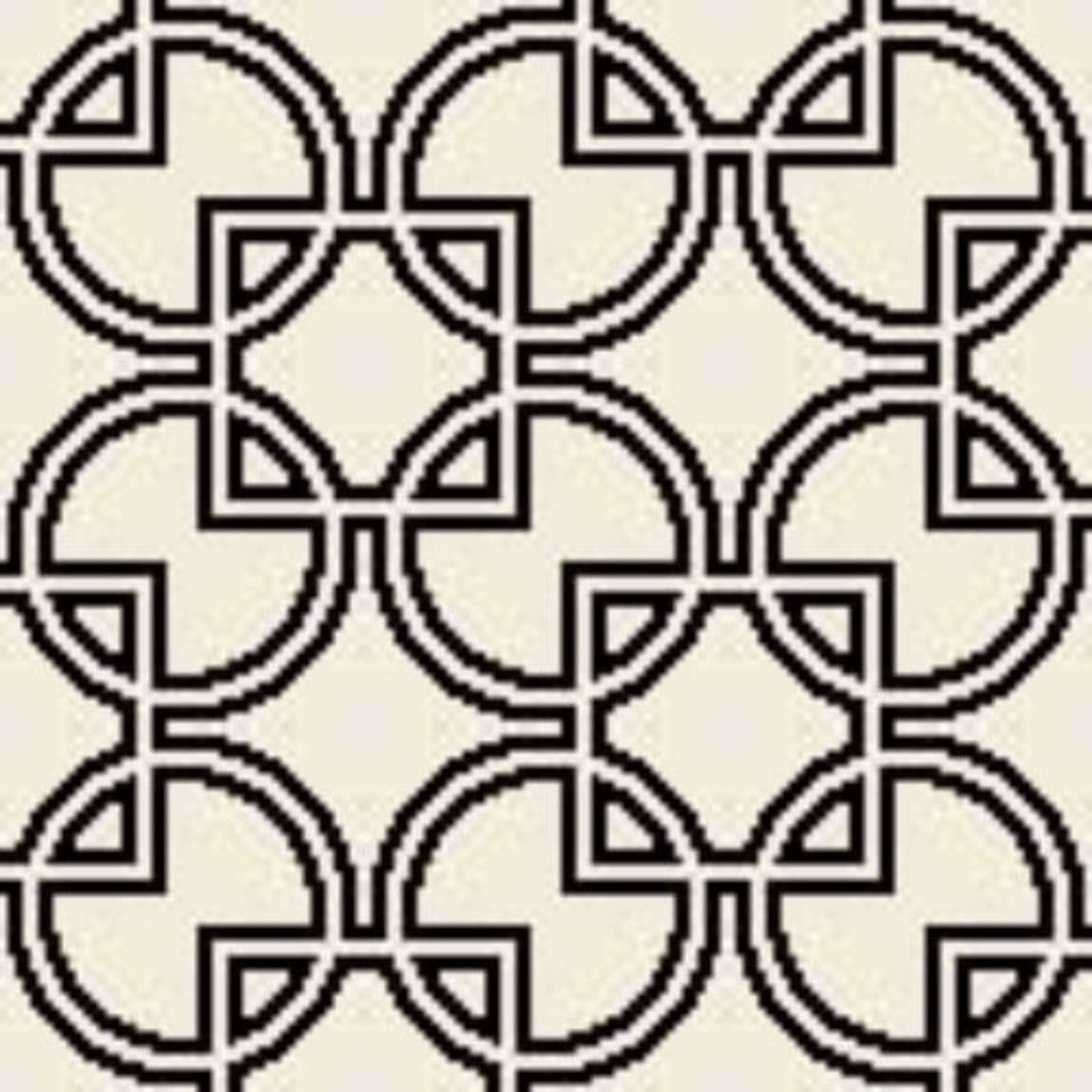 Wiltonian Collection - Cirque in White Field/Blk    Carpet