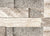 SLATE, QUARTZITE & SANDSTONE in Rustic Gold 12" X 12"