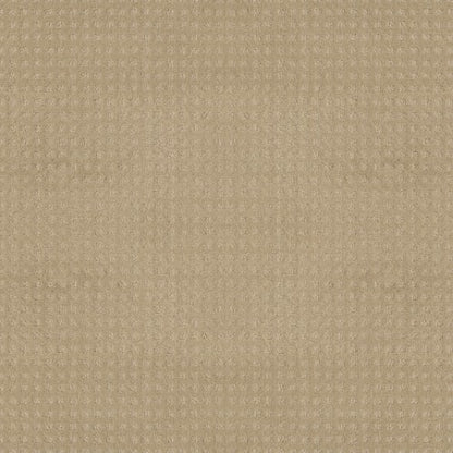 Nottingham in Soft Sun Carpet