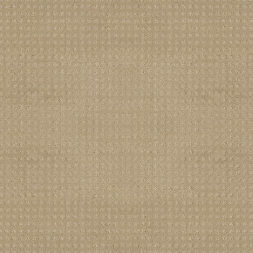 Nottingham in Soft Sun Carpet